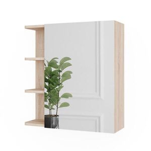 Vicco ZRCADLOVÁ SKŘÍŇKA Fynn Sonoma 62 x 64 cm obraz