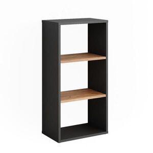 Vicco BOTNÍK Orlando Antracit/zlatý dub 40 x 80.1 cm obraz