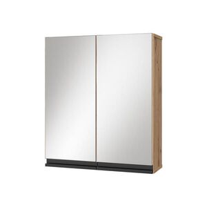 Vicco KOUPELNOVÁ ZRCADLOVÁ SKŘÍŇKA Torren Artisan 60 x 70 cm obraz