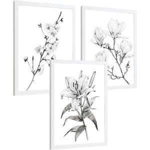 PLAKAT Sada 3 obrázků květin. Dekorativní nástěnné tisky Květiny tužkou. botanický plakát na zeď. Noridco květinové malby.Velikost A4 Bílý rám obraz