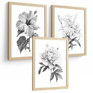 PLAKAT Sada 3 obrázků květin. Dekorativní nástěnné tisky Květiny tužkou. botanický plakát na zeď. Černobílé květinové malby.Velikost A4 bez rámu obraz