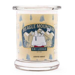 VONNÁ SVÍČKA Vícebarevná Beagle Mountain ve skle 250 g obraz