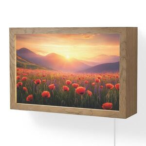 OnlyWow NÁSTĚNNÁ LAMPA Krajina - Západ slunce - Květinové pole 30x20 cm obraz