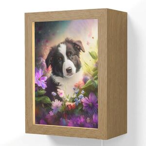 OnlyWow NÁSTĚNNÁ LAMPA Štěně - Slunce - Květiny - Příroda - Border kolie - Pes 15x20 cm obraz