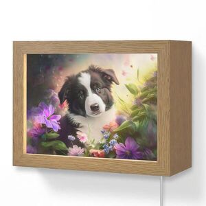 OnlyWow NÁSTĚNNÁ LAMPA Štěně - Slunce - Květiny - Příroda - Border kolie - Pes 20x15 cm obraz