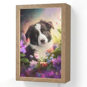 OnlyWow NÁSTĚNNÁ LAMPA Štěně - Slunce - Květiny - Příroda - Border kolie - Pes 20x30 cm obraz