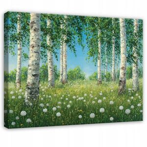 Wallarena OBRAZ na plátně Břízově zelený les 60x40 cm obraz