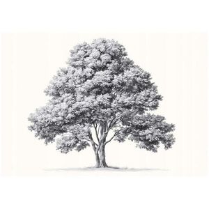 Wallarena FOTOTAPETA s abstraktními stromy šedá 200x140 cm obraz
