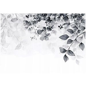 Wallarena FOTOTAPETA s listy černobílá do obývacího pokoje 200x140 obraz