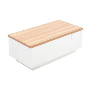 Redom KONFERENČNÍ stolek 100/50/55, 5 cm s dvojitým zvedacím mechanismem a skrytým úložným prostorem, Bílá obraz