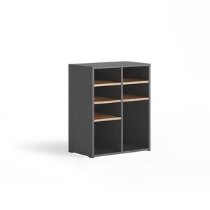 Vicco BOTNÍK Lysander, Antracit/Zlatý mocný dub, 53 x 65.5 cm se 7 otevřenými přihrádkami obraz