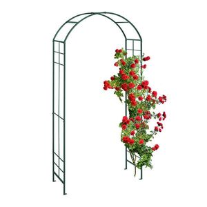 Relaxdays OBLOUK Zelený kovový pro popínavé rostliny 224x110x41 cm obraz
