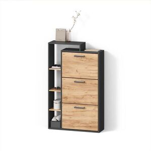 Livinity® BOTNÍK Ortello Zlatý dub power/antracit 80 x 128.3 cm se 3 přihrádkami obraz