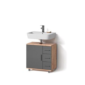 Livinity® DOLNÍ SKŘÍŇKA POD DŘEZ Eisak Zlatý mocný dub 60 x 60 cm obraz