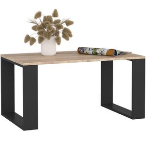 RAUMHIRSCH FURNITURE KONZOLOVÝ STOLEK Dub Sonoma, černá 45/92/53 obraz