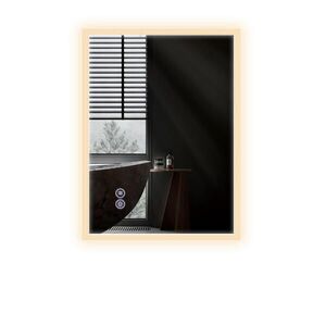 Nettlife KOUPELNOVÉ zrcadlo Reddy s LED osvětlením 70/50 cm obraz