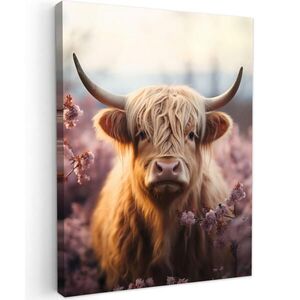 MuchoWow OBRAZ NA PLÁTNĚ Skotský horal - Jaro - Vysočina 60x80 cm obraz