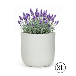 Mazovia KVĚTINÁČ bílý Ecru ELEGANTE XL 56x56x54 cm obraz