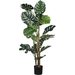 UMĚLÁ ROSTLINA filodendron monstera 160 cm obraz
