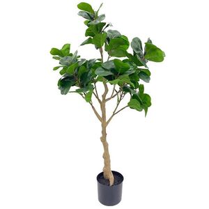 Ambia Home UMĚLÁ ROSTLINA fikus benjamín 104 cm obraz