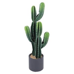 Ambia Home UMĚLÁ ROSTLINA kaktus 98 cm obraz