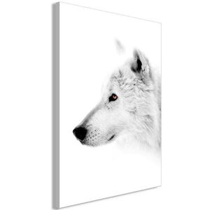 artgeist MALBA NA PLÁTNĚ, zvířata, 40/60/1, 2 cm obraz