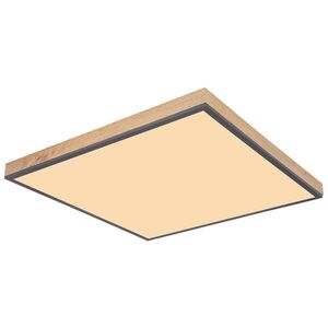Globo LED PANEL, 59/59/6.5 cm obraz