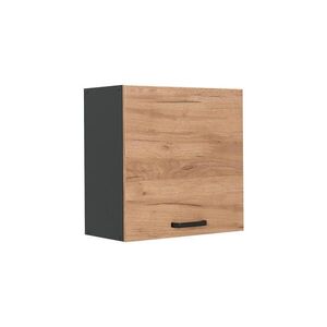 Vicco VĚŠÁK NA STĚNU R-Line, Zlatý mocný dub/Antracit, 60 cm s 1 dvířky obraz