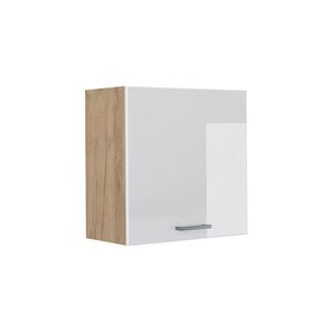 Vicco VĚŠÁK NA STĚNU R-Line, Bílá vysoký lesk/Zlatý mocný dub, 60 cm s 1 dvířky obraz