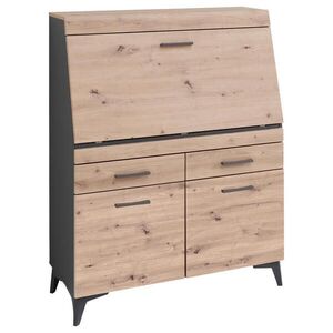 Carryhome SEKRETÁŘ, 98/124/42 cm obraz