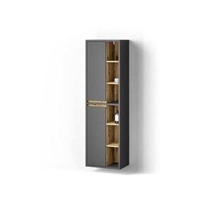 Livinity® KOUPELNOVÁ SKŘÍŇKA Vomano Antracit 50 x 170 cm s dvířky a otevřenými přihrádkami obraz