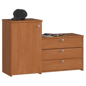 RAUMHIRSCH FURNITURE SKŘÍŇ NA BOTY v barvě olše 68/98, 4/33 obraz