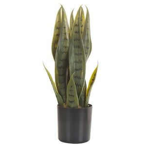 Beliani UMĚLÁ ROSTLINA v květináči 40 cm Zelená/Černá Snake Plant obraz