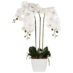 Beliani UMĚLÁ Pokojová rostlina 59 cm Zelená/Bílá Orchid obraz