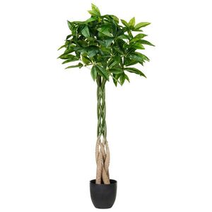 Beliani UMĚLÁ ROSTLINA v květináči 120 cm Zelená/Černá Pachira Tree obraz