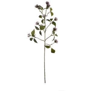 ASA DEKORAČNÍ KVĚTINA 68 cm obraz