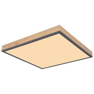 Globo STROPNÍ LED SVÍTIDLO, 45/45/6.5 cm obraz