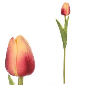 TULIPÁN 35 cm obraz