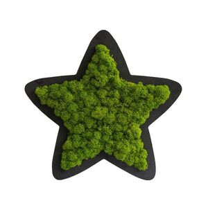 StyleGREEN MECHOVÝ OBRAZ obraz