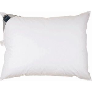 Billerbeck TŘÍKOMOROVÝ POLŠTÁŘ, 40/80 cm obraz
