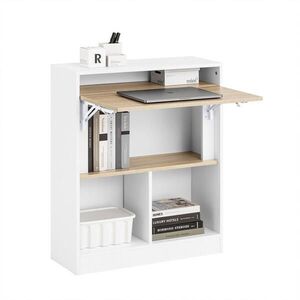 SoBuy POČÍTAČOVÝ STŮL s 1 dveřmi Bílá 70x57x85cm Moderní obraz