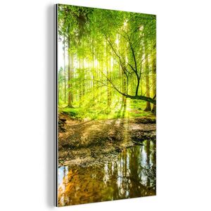 MuchoWow KOVOVÝ OBRAZ Les - Krajina - Voda - Stromy - Slunce - Zeleň - Příroda 60x90 cm obraz