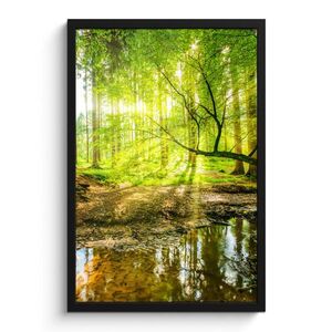 MuchoWow PLAKÁT V RÁMU Les - Krajina - Voda - Stromy - Slunce - Zeleň - Příroda 40x60 cm obraz