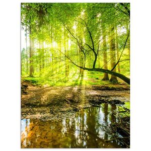 MuchoWow PLAKÁT Les - Krajina - Voda - Stromy - Slunce - Zeleň - Příroda 60x80 cm obraz