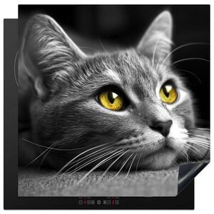 MuchoWow KRYT NA INDUKČNÍ DESKU Kočka - Grey - Zvířata - Cat 78x78 cm obraz