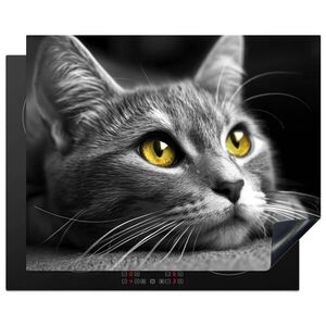 MuchoWow KRYT NA INDUKČNÍ DESKU Kočka - Grey - Zvířata - Cat 65x52 cm obraz