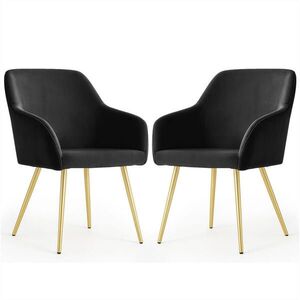 RAUMHIRSCH FURNITURE ČALOUNĚNÁ ŽIDLE, sada 2 ks, kovové nohy, černá, zlatá 54, 5/83/58 obraz