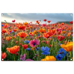 OnlyWow ZAHRADNÍ PLAKÁT Květiny - Mák - Barevné - Příroda 90x60 cm obraz