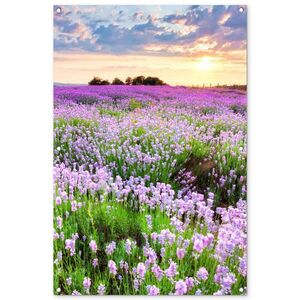 OnlyWow ZAHRADNÍ PLAKÁT Květiny - Levandule - Fialová - Obloha - Západ slunce - Louka - Příroda 80x120 cm obraz