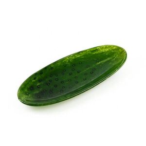 Mondex TALÍŘ, sklo, zelená obraz
